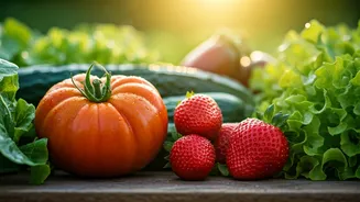 Summer Gardening Gets Tastier With Vegetable Plants