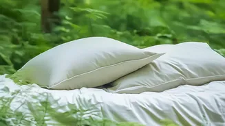Plans For Guest Bedding In Small Homes Need Clear Decisions On Airing Before Use