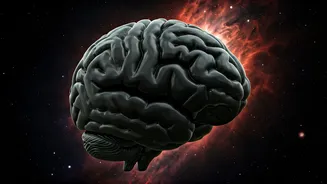 Scorpio's 2025: Beliefs Under Review