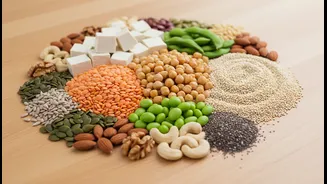 How the plant-based protein digestibility scale assists in preventing nutritional deficits effectively