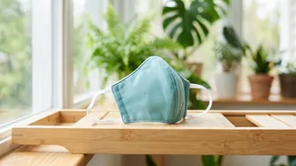 Children's Pollution Masks: Timely Replacement Of Damaged Or Dirty Masks