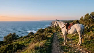 Portugal's Countryside Can Be Explored Through Guided Equestrian Routes