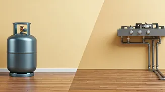 LPG vs PNG: Navigating India's Kitchen Fuel Choices for Secure & Convenient Cooking