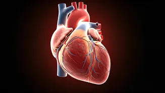 Heart Health: Risks, Habits, and Reversal Strategies