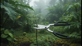 Pruning Makes Monsoon Plants Less Messy