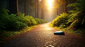 Brisk Walking and Silent Meditation Merge In Epic Fitness Craze