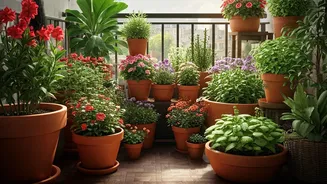 Transform Your Balcony Into A Mini Garden