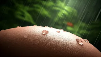 Why Acne Returns During The Rainy Season
