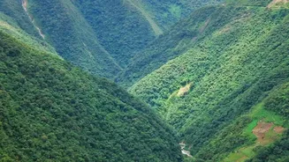 Independence Day Long Weekend: Experience Lush High Altitude Valleys In Uttarakhand Safely
