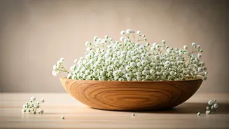 Whispers of Character: Baby Names Inspired by Admirable Everyday Qualities