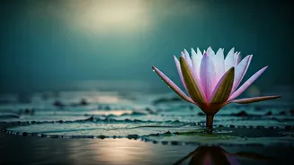 5 Profound Lessons from Premanand Ji Maharaj for a Life of Inner Peace