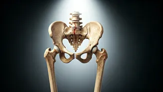 The Silent Threat: Why Hip Fractures After 65 Are So Dangerous & How to Prevent Them
