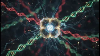 Why new skeleton structure inside brain cells links genetics to practical Alzheimer's treatments