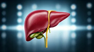 Sober Living: Your Body's Amazing Transformation