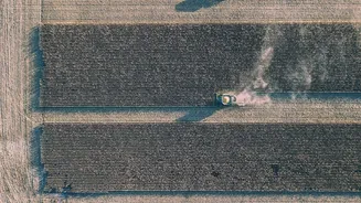 Centre Urges States to Intensify Efforts Against Stubble Burning