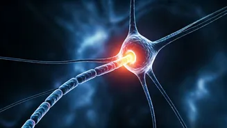 Boost Your Focus: 10 Proven Strategies for Enhanced Concentration at Work