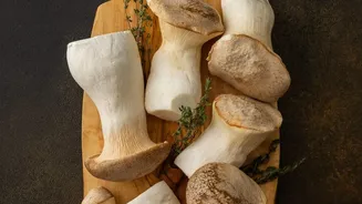 How India's Seasonal Mushrooms Are Bringing Foraging Back Into Everyday Food Conversations
