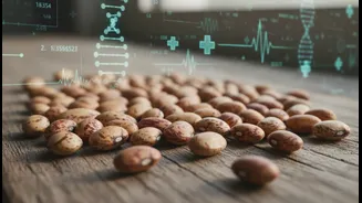 What to Know About Horse Gram before Trusting the Strongest Claims