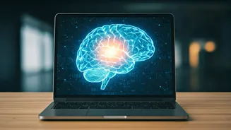 Related Stories banner