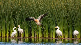 Explore Maharashtra's Best Bird Sanctuaries