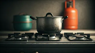 Bengaluru PGs Face LPG Crisis: Dosa, Poori & Chapati Off the Menu!