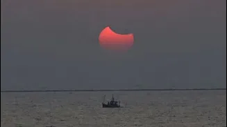 Maharashtra launches MDA app to track small boats along coastline