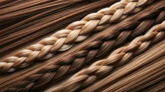 Quick & Chic Braids: Perfect for Your Busy Mornings!