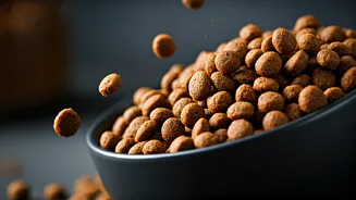 High-Protein Diets Are Making Dog Meals More Serious