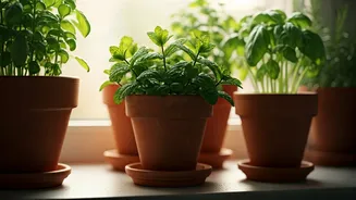 Beginner's Green Thumb Guide: 5 Effortless Gardening Hacks for a Healthier You