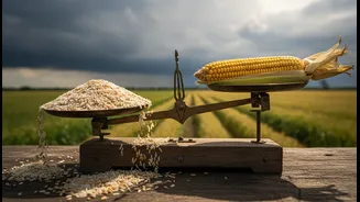 Food Budgets Have Entered El Niño Watch
