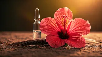 5 African Beauty Secrets: Unlock Radiance with Hibiscus Flower Hacks
