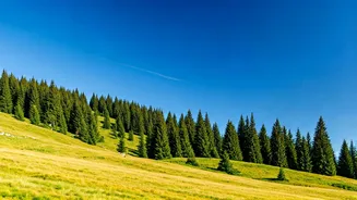 Escape Delhi's Air: Top 10 Hill Stations to Breathe Easy