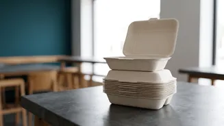 Bio Degradable Sugarcane Packaging Helps Indian Restaurants Reduce Plastic Waste Production Today