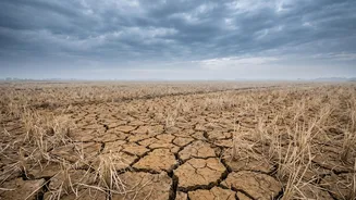 Rice Prices And Conflict In 2026 Without Turning It Into An Investment Call