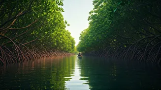 Backwater Kayaking Is Every Nature Lover's Dream