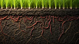 Protect Soil For A Healthy Planet Today