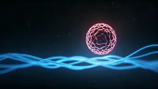 Related Stories banner