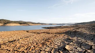 Why A Drier September Could Matter For India's Food Supply Beyond The Farm
