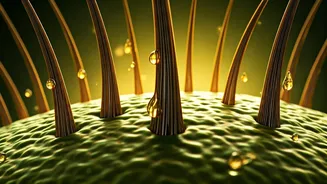 Unlock Summer Hair Growth: The Ultimate Guide to Overnight Oiling for Healthy Scalp & Lush Strands