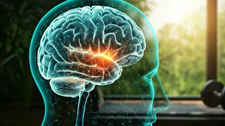 Exercise & Brain: Boost Memory & Health