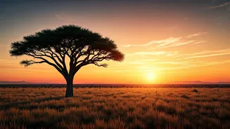 Africa Is The International Travel Flex To Watch