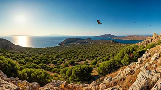 Rhodes Unveiled: Sunshine, Butterflies, and Ancient Wonders of the Aegean