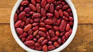 The Latest Protein Review Highlights Limits Around Different Protein Needs Across Daily Routines