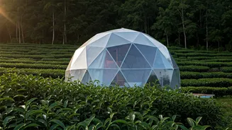 Ditch Hotels For Romantic Eco Domes In Tea Gardens