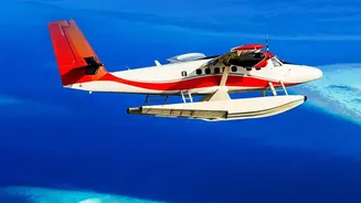 Why Expensive Flights Are No Longer Deterring Indian Holidaymakers