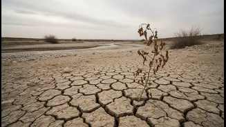 Before the Next Step, Check Goa's Weak Monsoon Spell and Rain Deficits