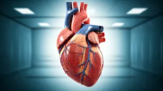 Thyroid Health: Unveiling Symptoms & Prevention in India