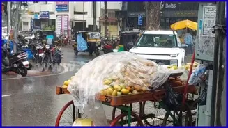 Karnataka Weather Forecast: ಕರ್ನಾಟಕ ಕರಾವಳಿ, ಒಳನಾಡಿನ ಹಲವು ಜಿಲ್ಲೆಗಳಲ್ಲಿ ಭಾರಿ ಮಳೆ, ಗಾಳಿಯ ಮುನ್ಸೂಚನೆ