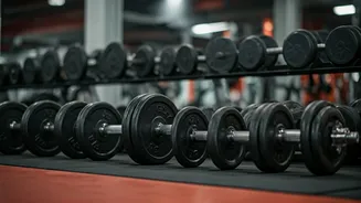 Sculpting Strong Shoulders: A Guide to Effective Exercises