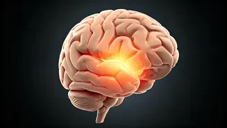 The Mid-20s Mind Shift: Understanding the 'Frontal Lobe Breakup' Phenomenon